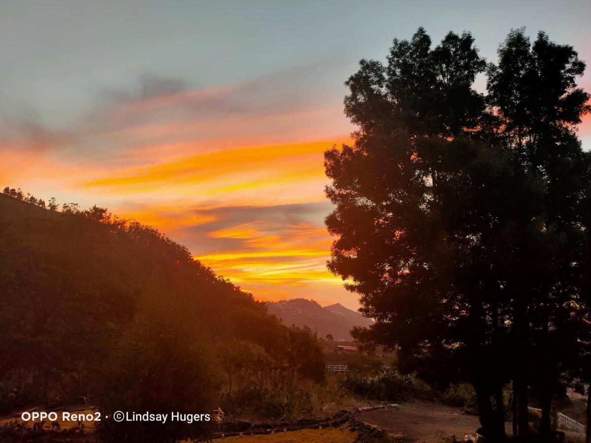 ホテル Free Canari - Los Alamos 8 Tegueste エクステリア 写真